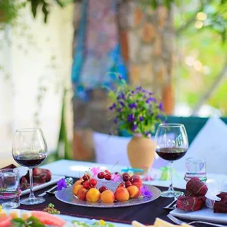 Hotel Misafir Evi 2*