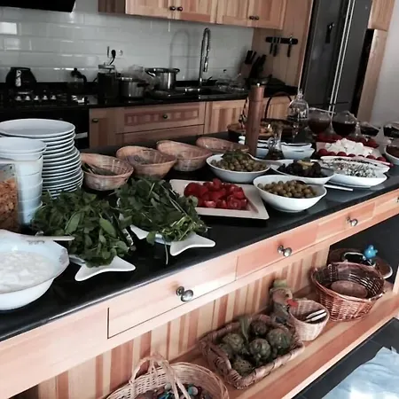 ホテル Misafir Evi Kayakoy