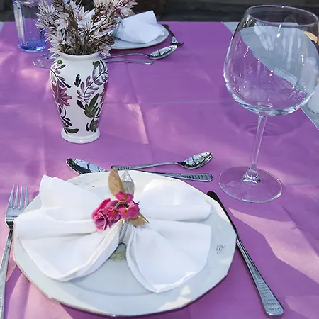 Hotel Misafir Evi
